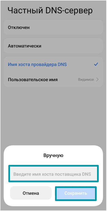 Enter The Dns Provider Settings
