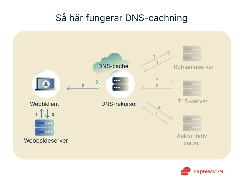 Image How Dns Caching Works 1 Sv