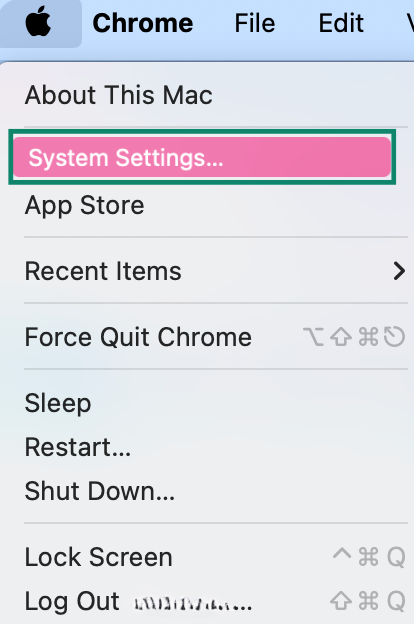 Apple menu with the System Settings option highlighted