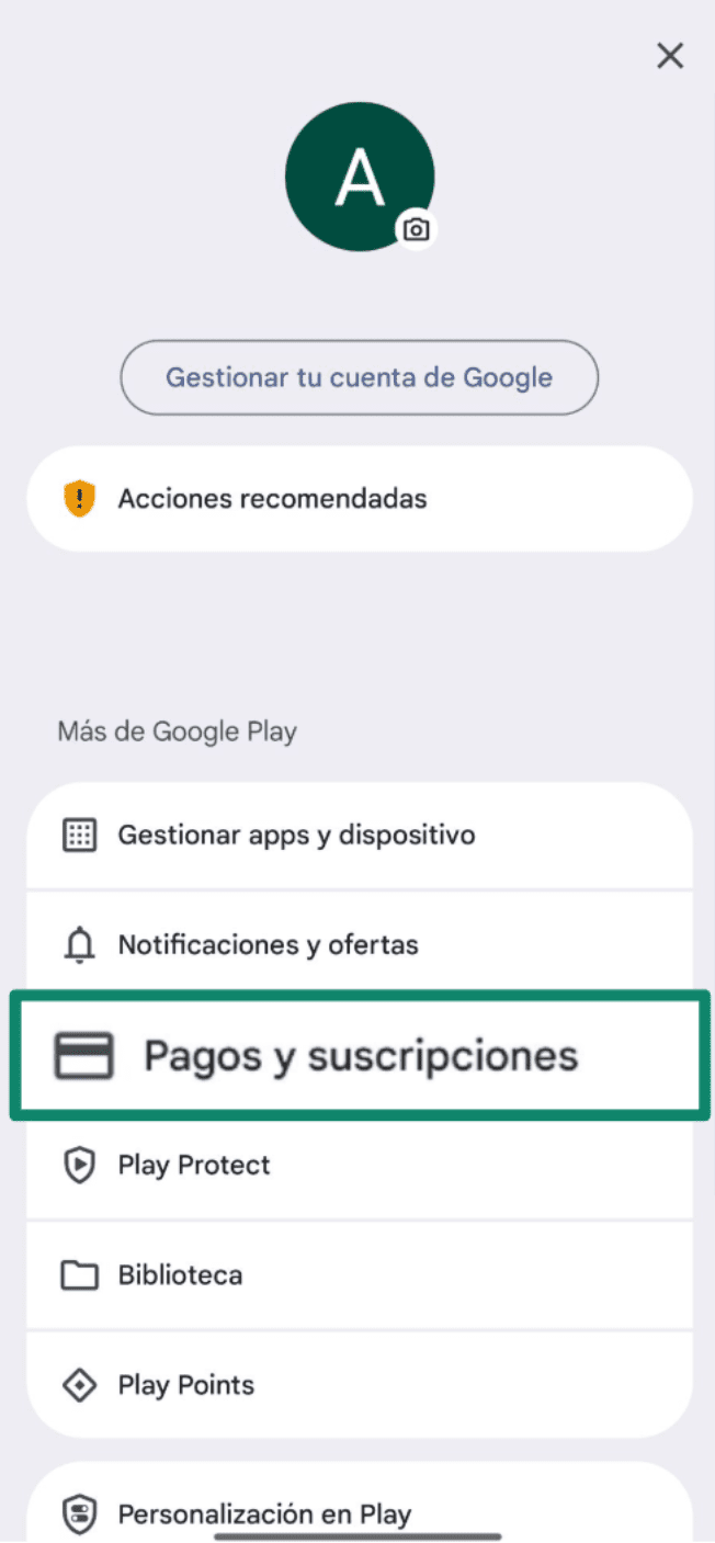 Select Payments Subscriptions Es