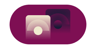 Indicateur de vitesse.