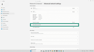 Screenshot of View additional properties option in Windows 11