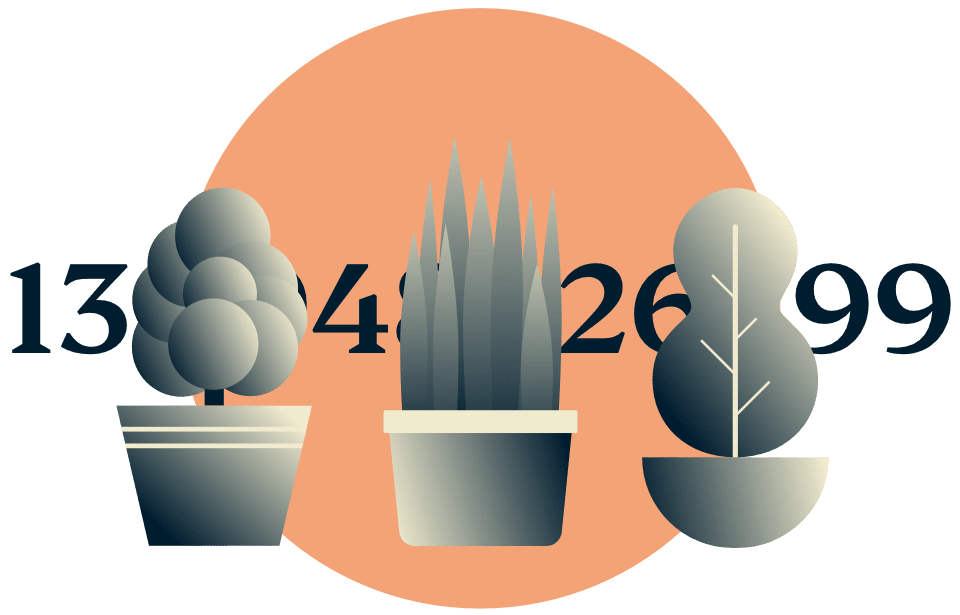 IP adresinizi gizleyin: IP adresini gizleyen saksı bitkileri.