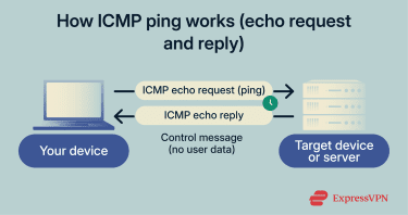 ICMP ping exchange between a device and a server.
