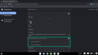 Chrome extension permission options