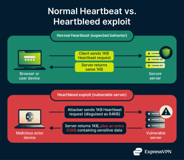 Comparison of a normal heartbeat to a Heartbleed exploit.