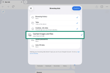 Browsing data options in Chrome on iPad.