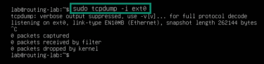 Using tcpdump for external interfaces.