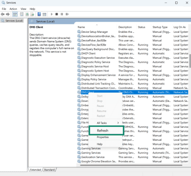 The Windows Services utility, showing the option to refresh the DNS client.