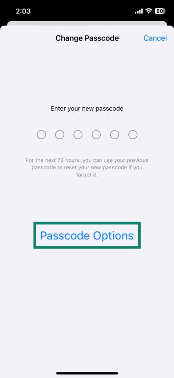 iPhone Change Passcode interface with an empty 6-digit passcode field.