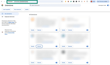 Chrome Extensions page at chrome://extensions