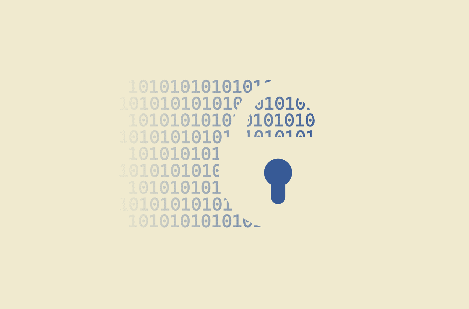 Secure coding